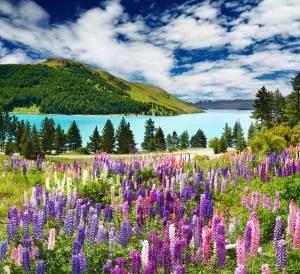 photodune-1228894-lake-tekapo-new-zealand-m