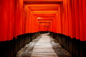 photodune-409201-japan-gate-torii-m