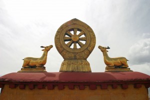 TERRA-LAMA_08